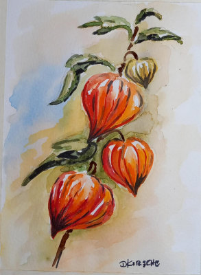 Aquarelle Lanterne Blume